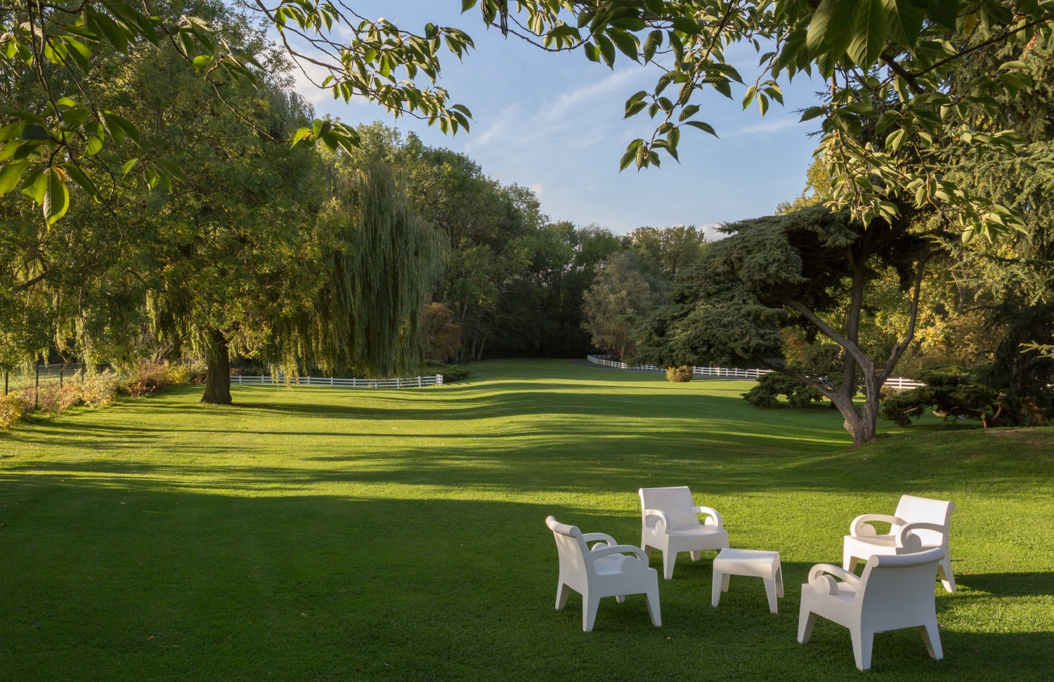 Nature, parc du Domaine de la Chanterelle